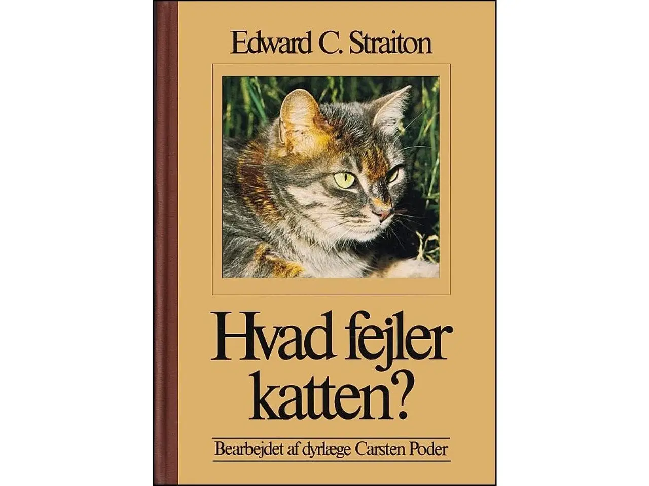 Billede 1 - Hvad fejler Katten?