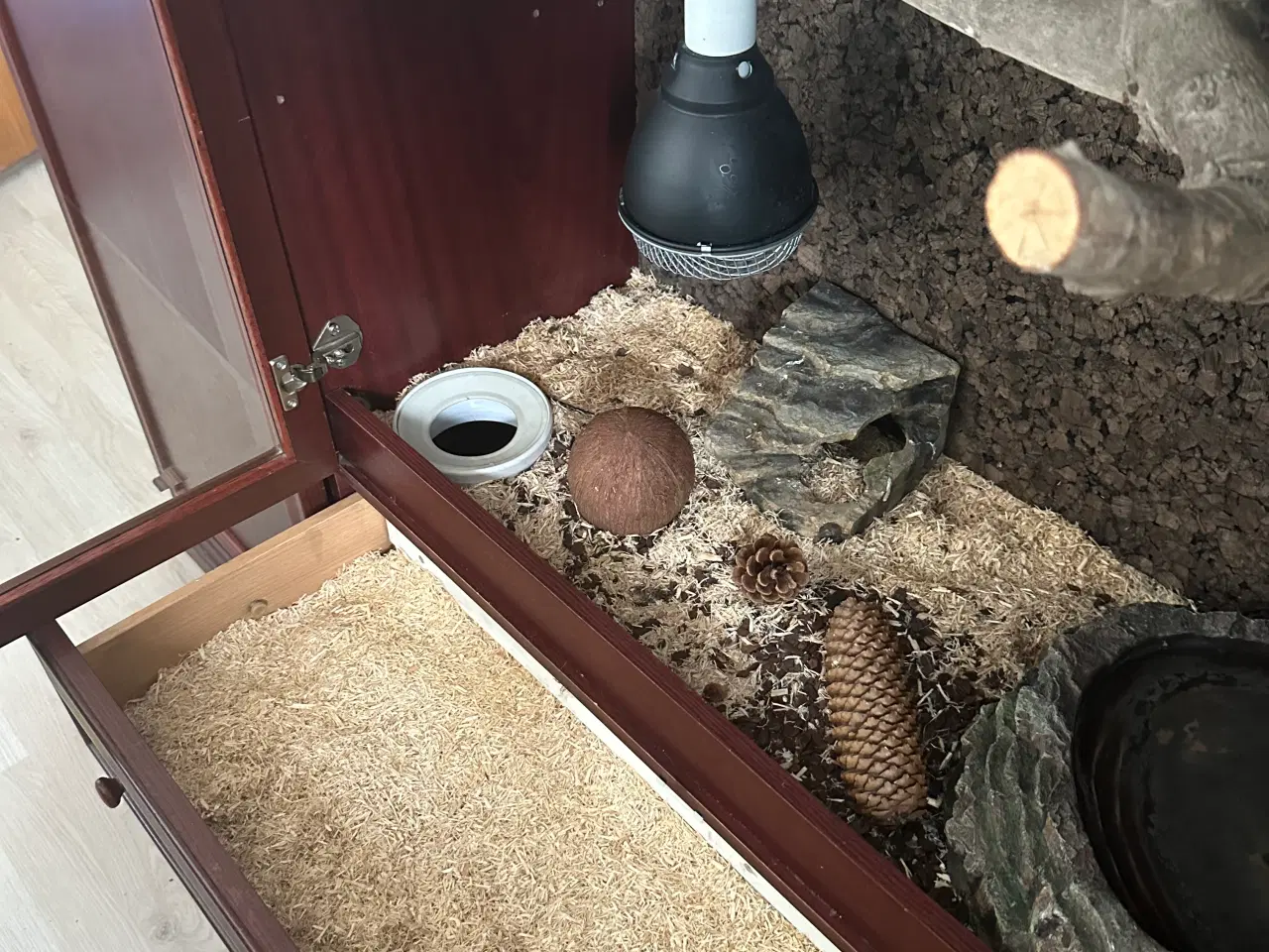 Billede 5 - Kongepyton med Terrarium / terrariumskab