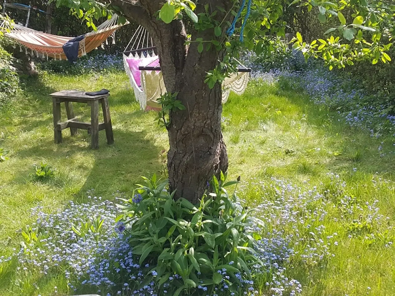 Billede 12 - Kolonihave Holbæk 