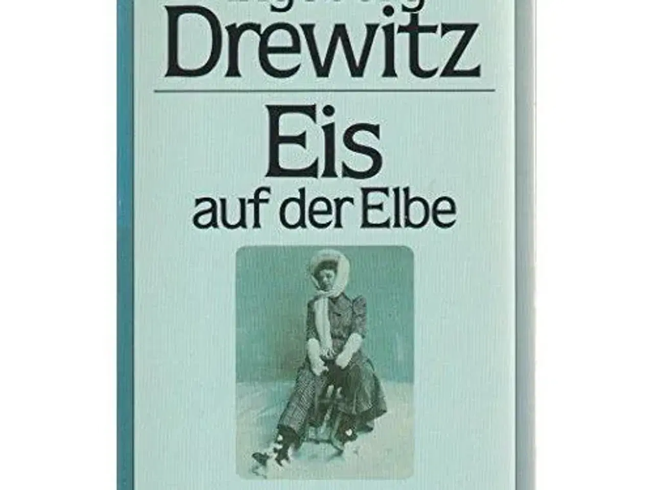 Billede 1 - Eis auf der Elbe - Ingeborg Drewitz