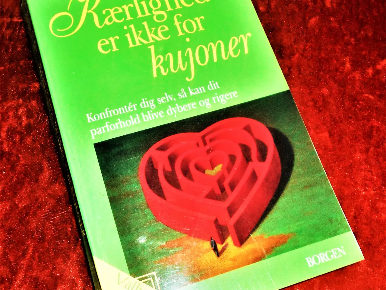 Billede 1 - Kærlighed er ikke for kujoner, Birgit Weber,
