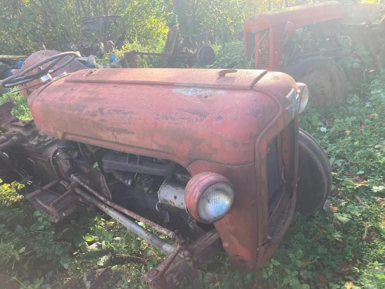 Billede 3 - Ferguson Ophugges