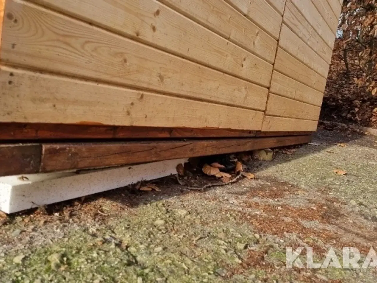 Billede 11 - Anneks Sølundhuse Tehus Sofia