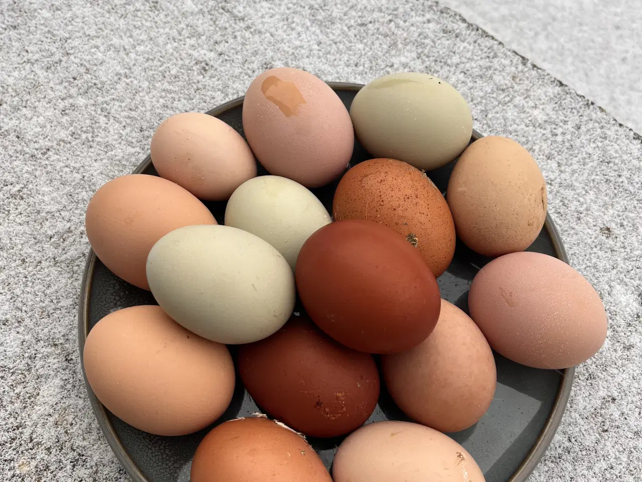 Billede 1 - Rugeæg - flotte farver 