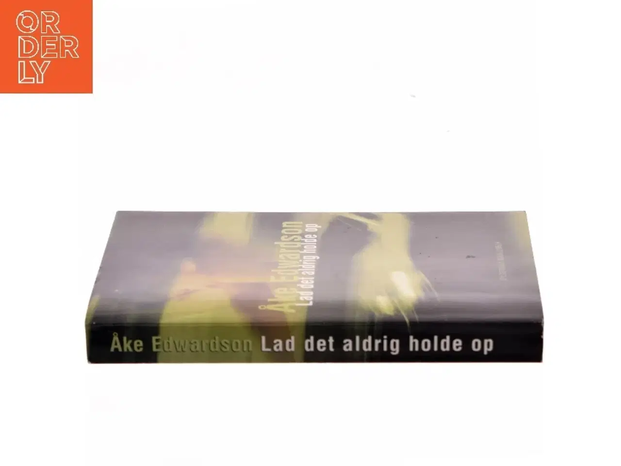 Billede 3 - Lad det aldrig holde op af Åke Edwardson (Bog)