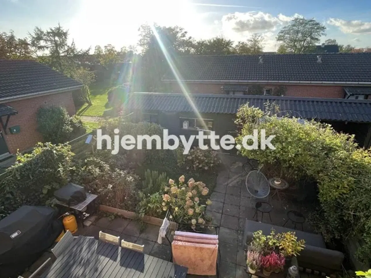 Billede 10 - Hjembytte - Rødtjørnen