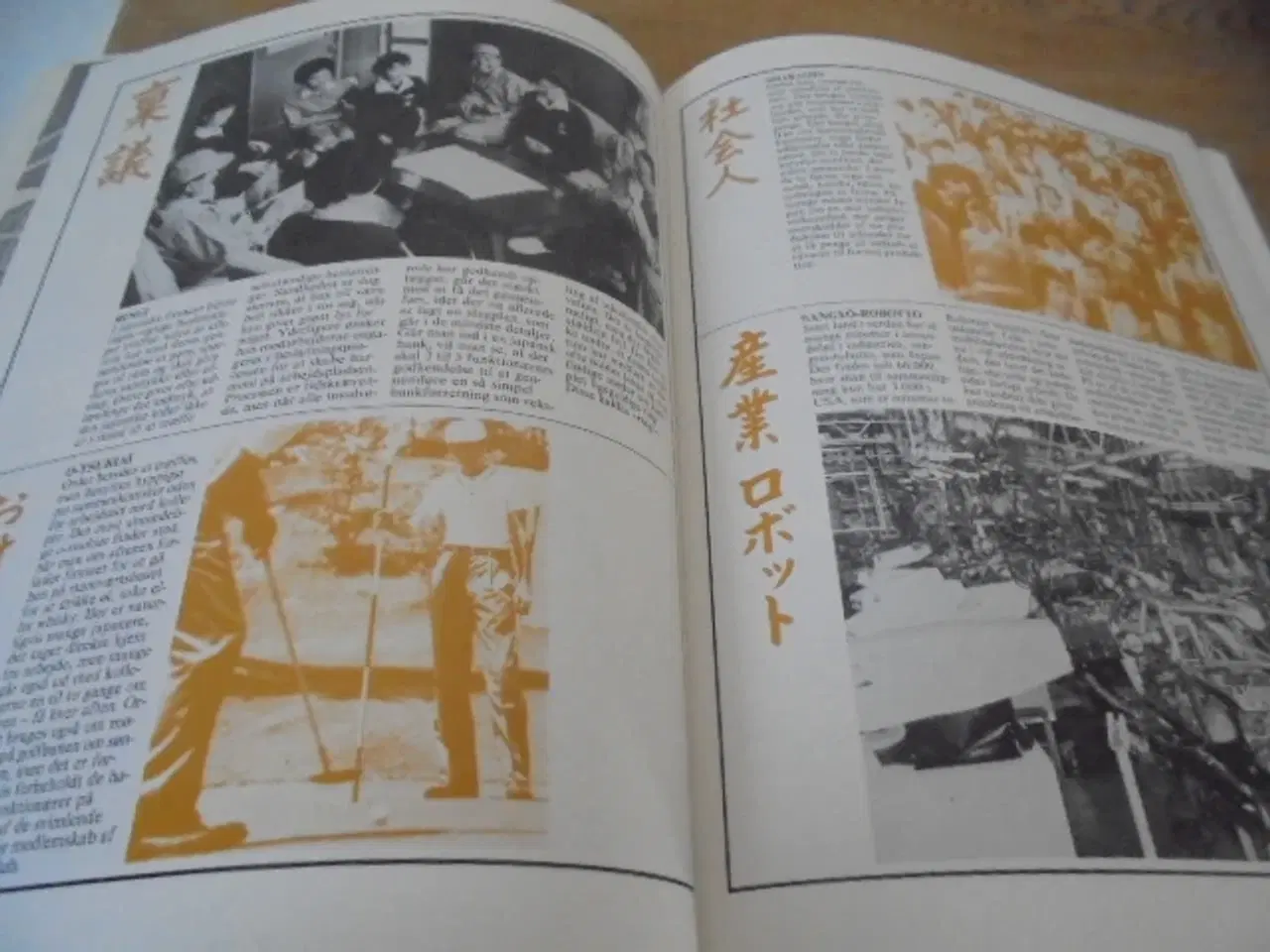 Billede 4 - Japan – Sommerudstilling i Brede 1983