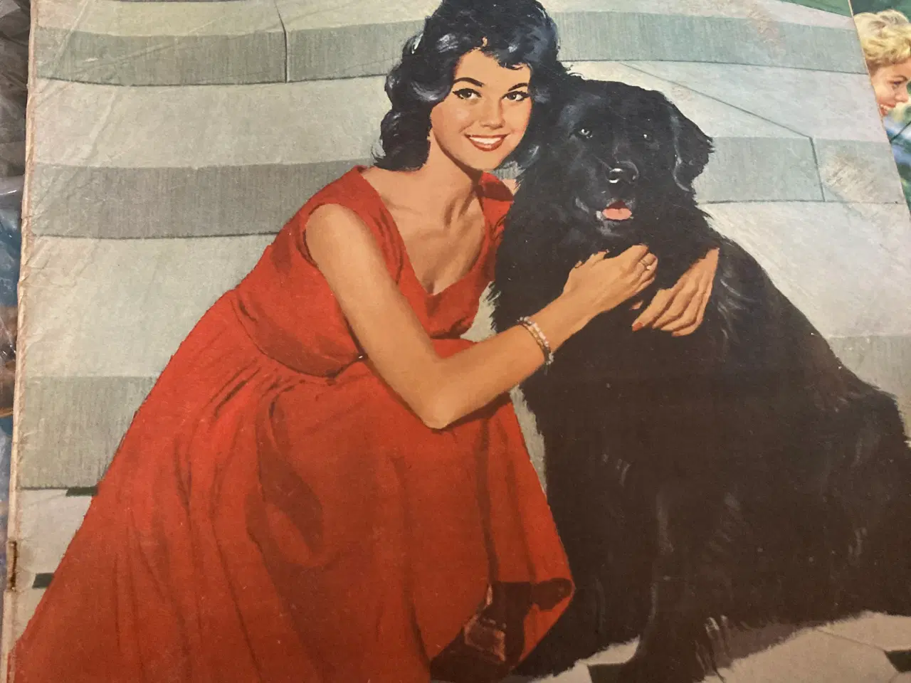 Billede 2 - Familie journal 7 stk