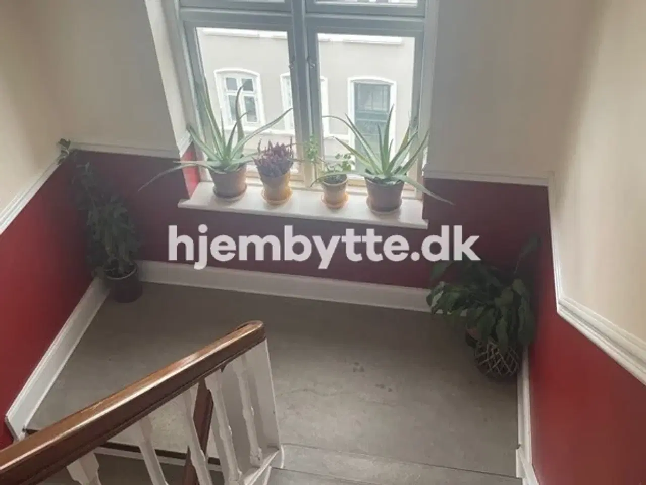 Billede 16 - Hjembytte - SanktPaulsGade