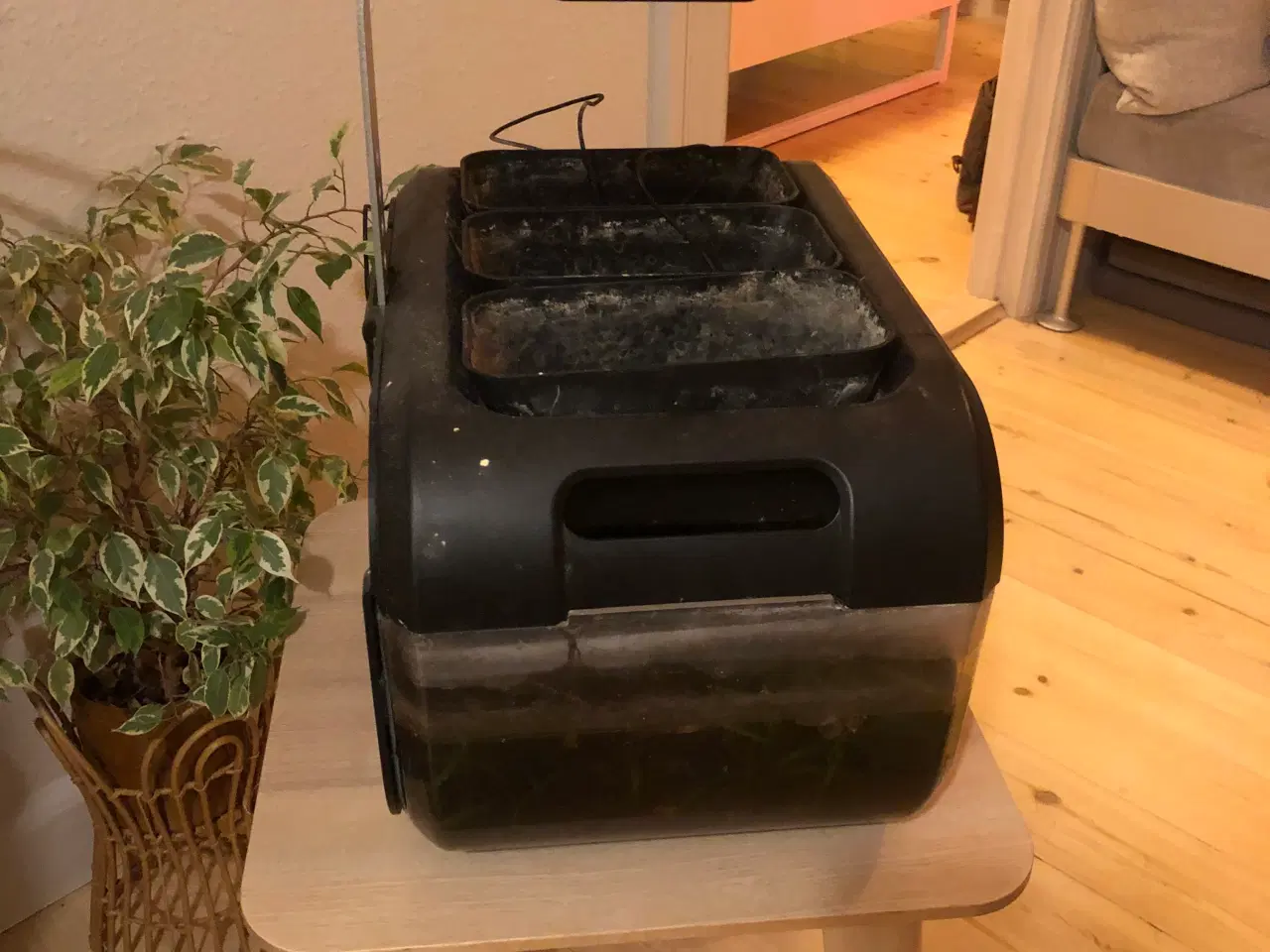 Billede 4 - Akvarium, 24 liter, b: 50 d: 33 h: 40