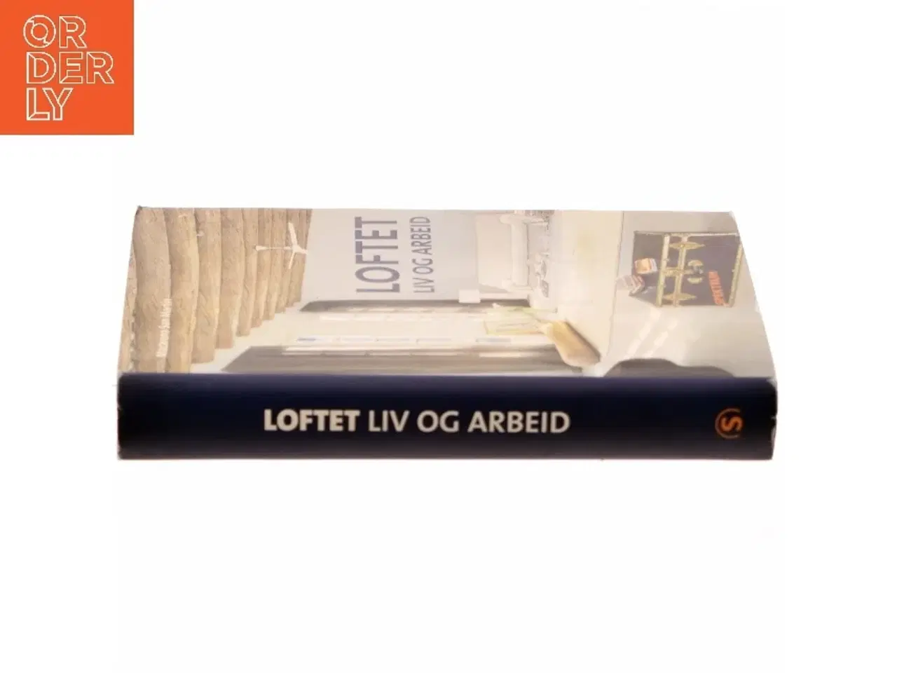 Billede 2 - Loftet af Macarena San Martín (Bog)