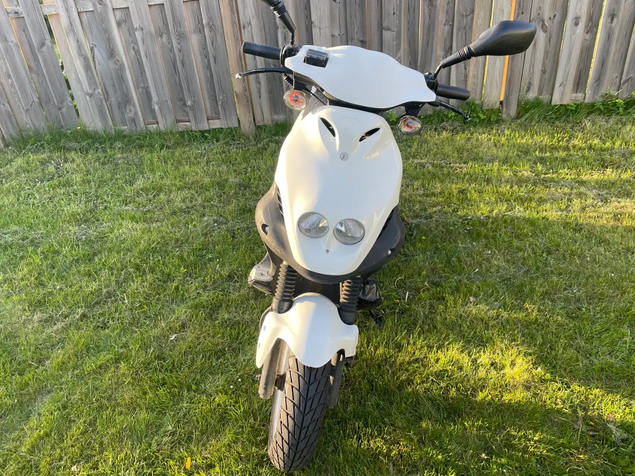 Billede 3 - Pgo pmx 