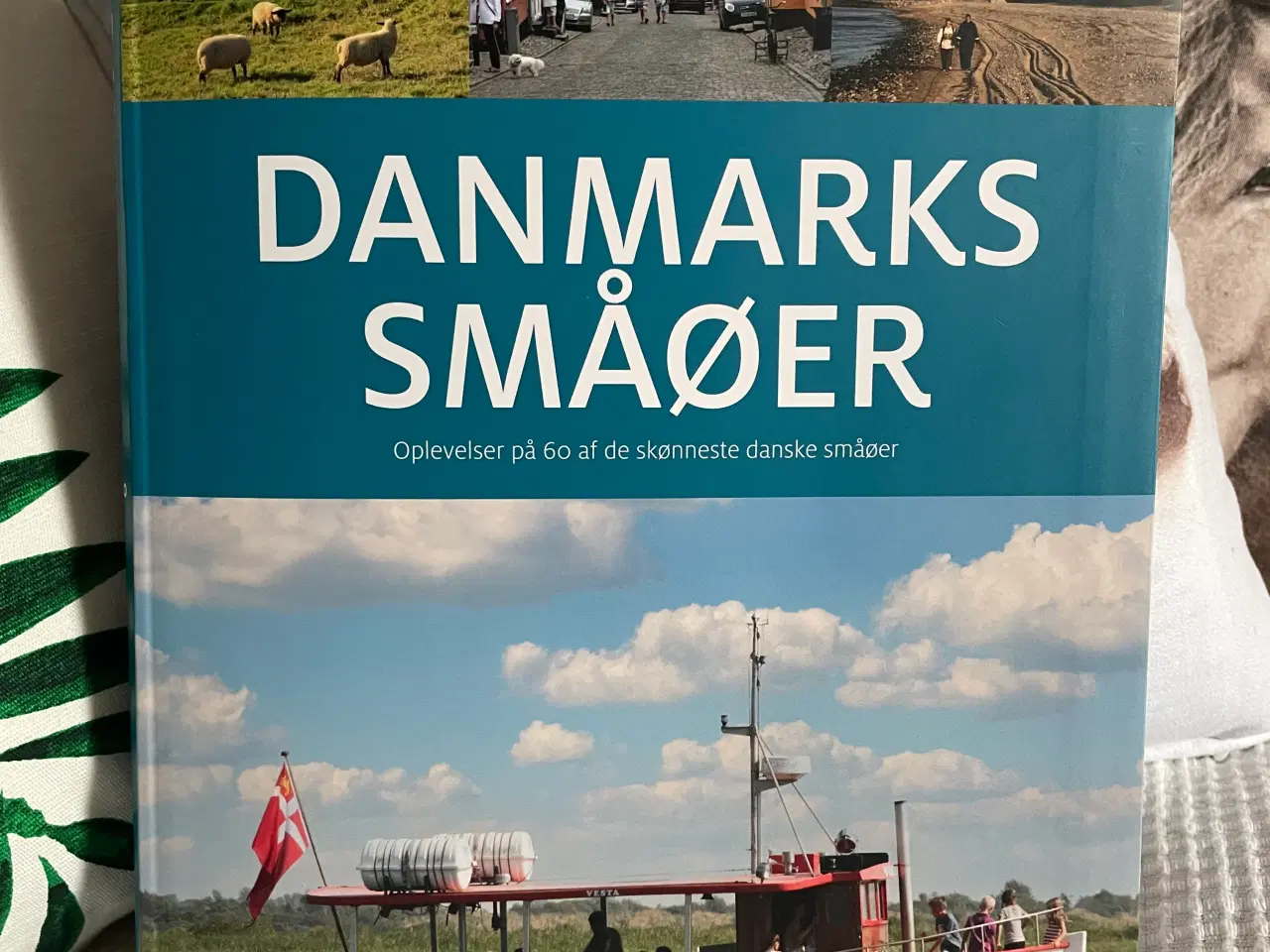 Billede 1 - Danmarks bøger