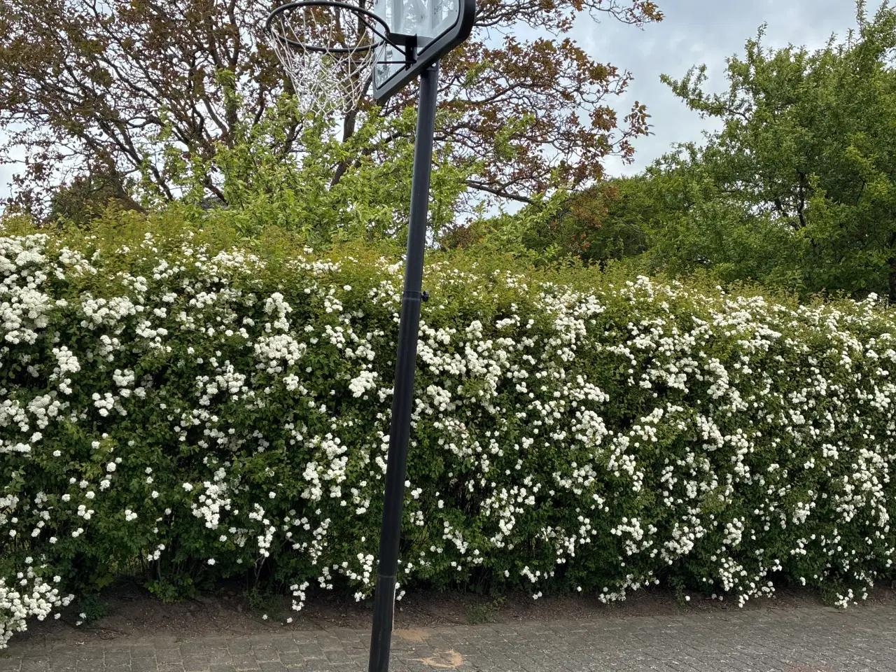 Billede 1 - Basket stativ og kurv 
