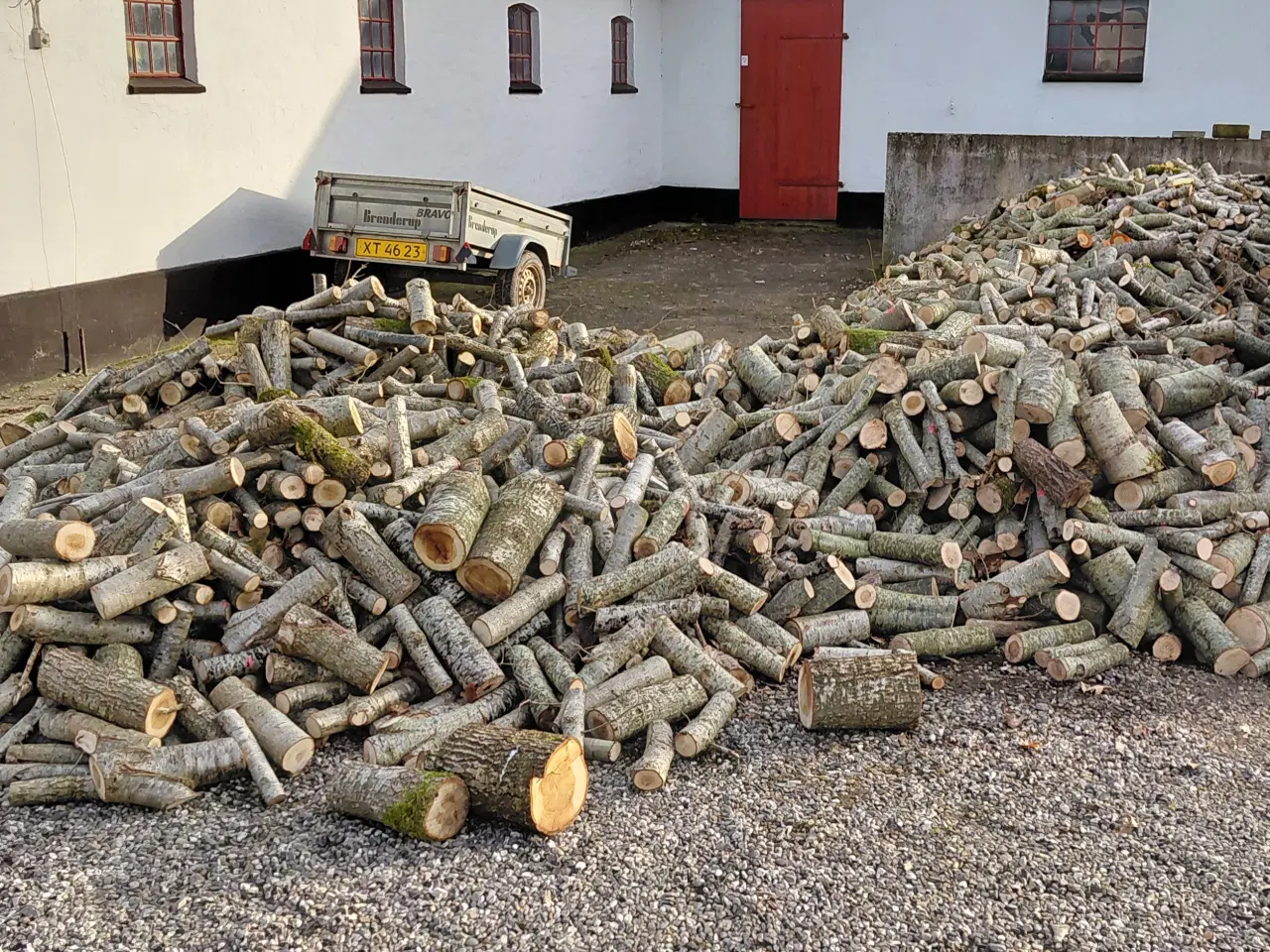 Billede 2 - Brænde, eg nyskovet 2026