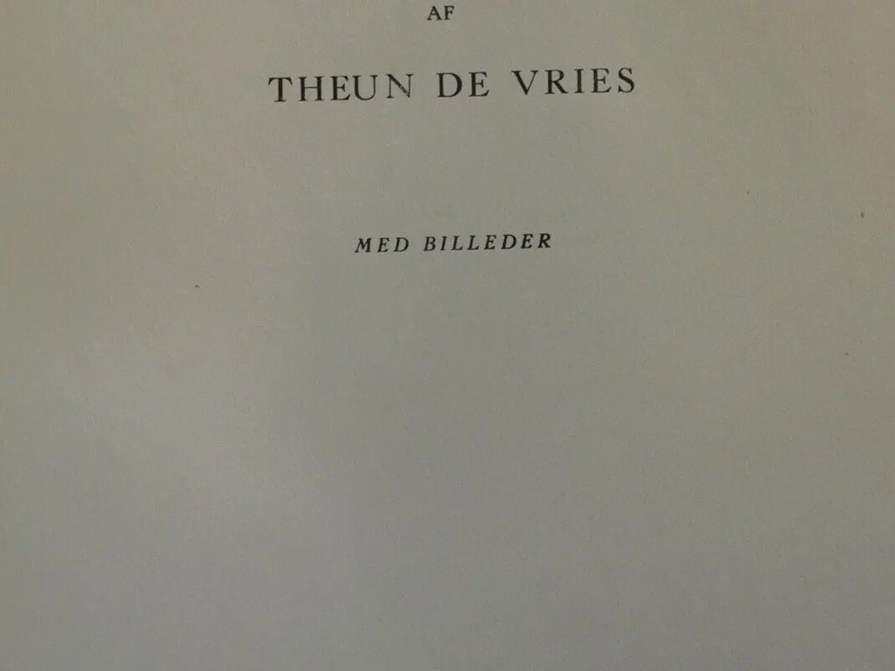 Billede 3 - rembrandt - roman, af theun de vries, genre: roman