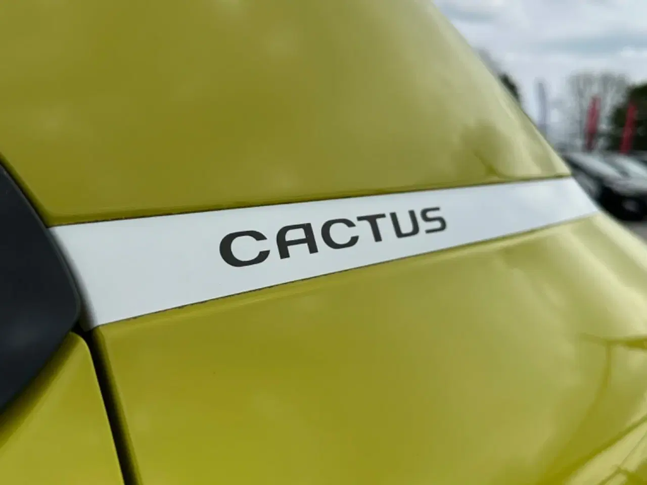 Billede 10 - Citroën C4 Cactus 1,2 PureTech 110 Shine