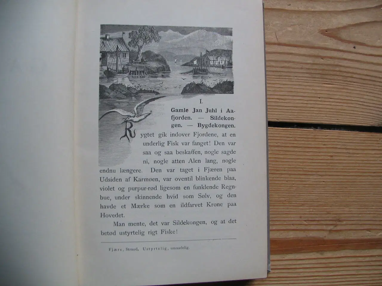 Billede 5 - Jonas Lie. Gaa paa! Sjøfortælling, fra 1898