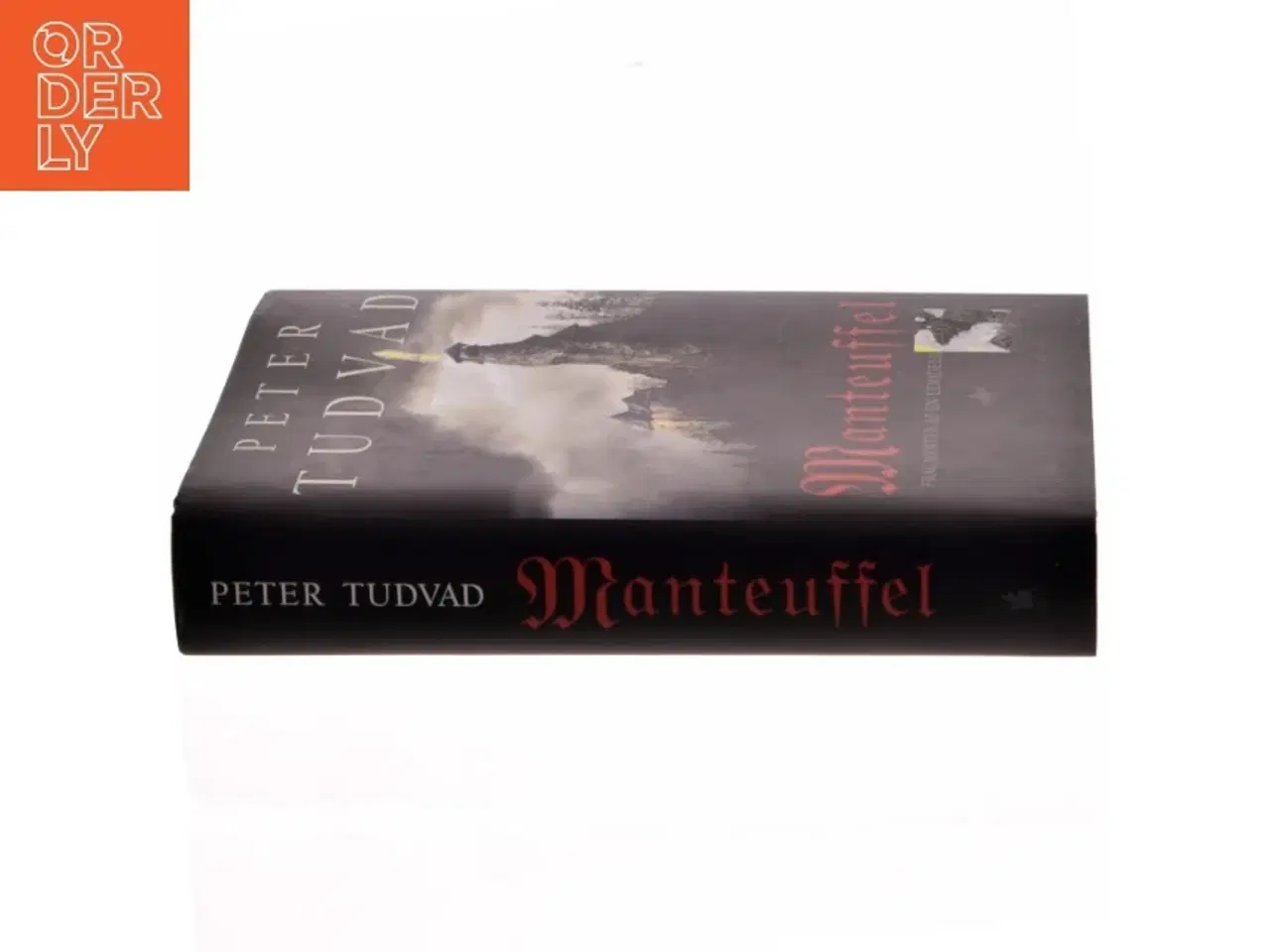 Billede 2 - Manteuffel : fragmenter af en udødeligs levned : roman af Peter Tudvad (Bog)
