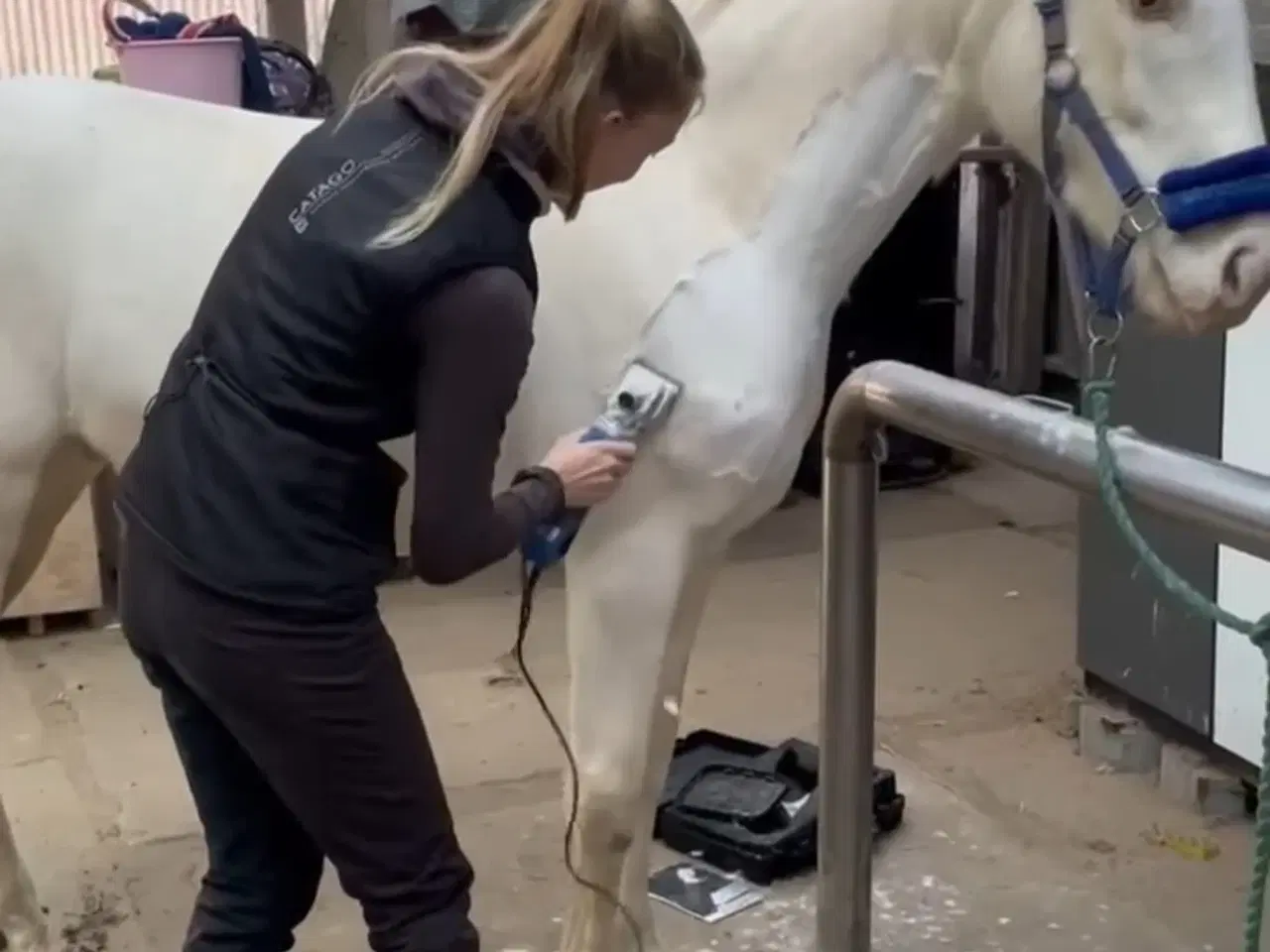 Billede 5 - Charmerende og tillidsfuld vallak søger nyt hjem.