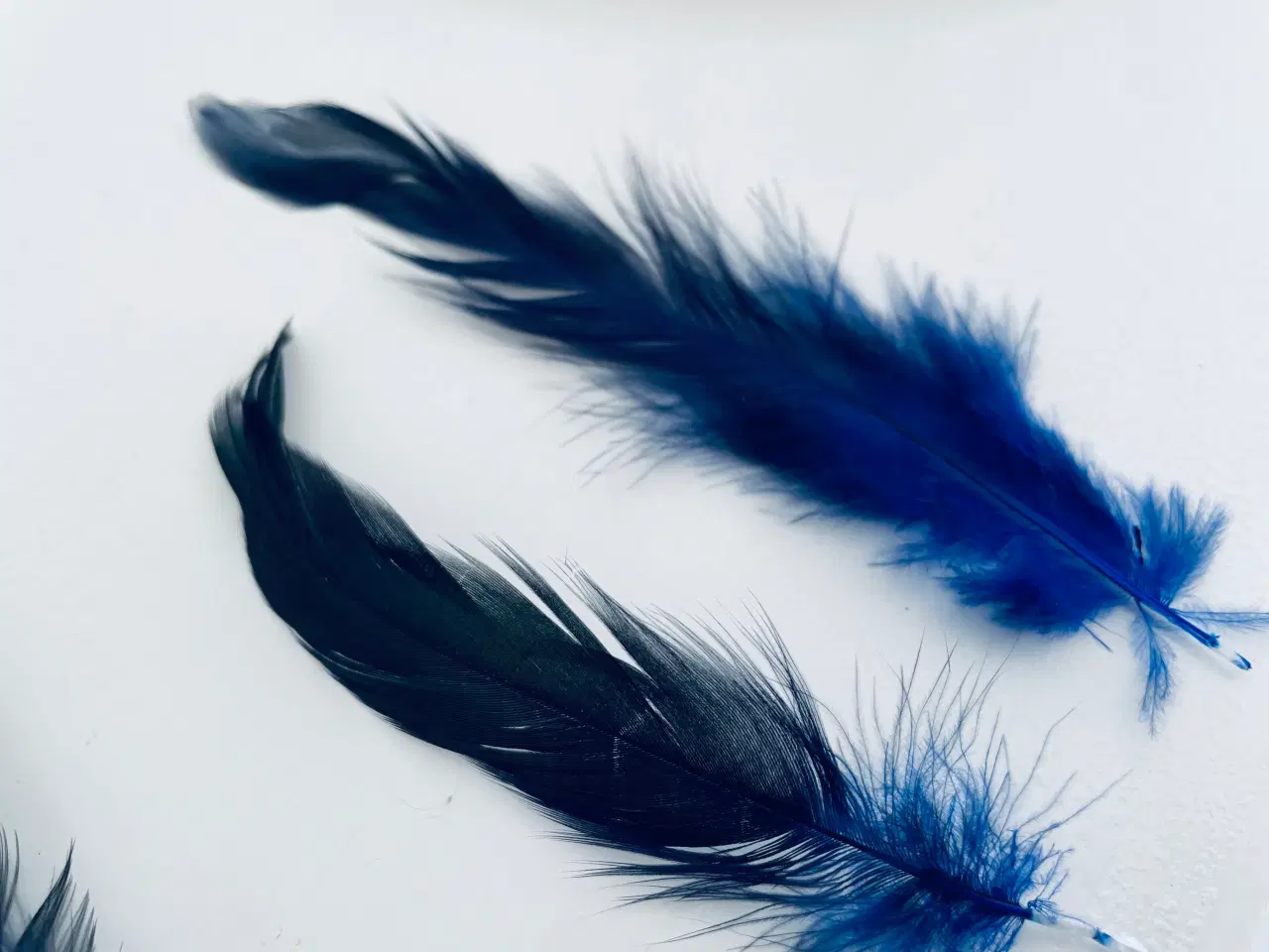 Billede 5 - Fjer i blå, mørke og grønlige nuancer 