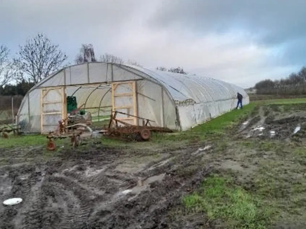 Billede 2 - Tunneldrivhus