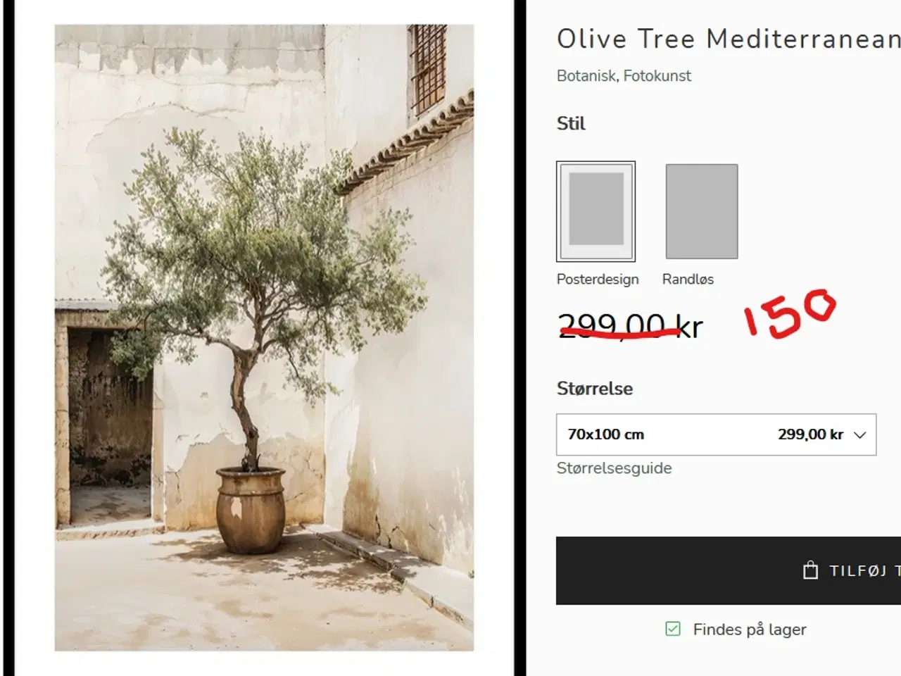 Billede 1 - Plakat - Olive Tree Mediterranean 70x100cm