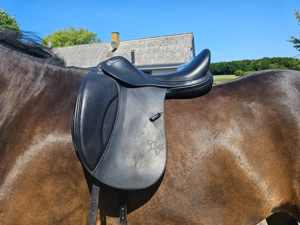 Billede 1 - Prestige x Helen 18"