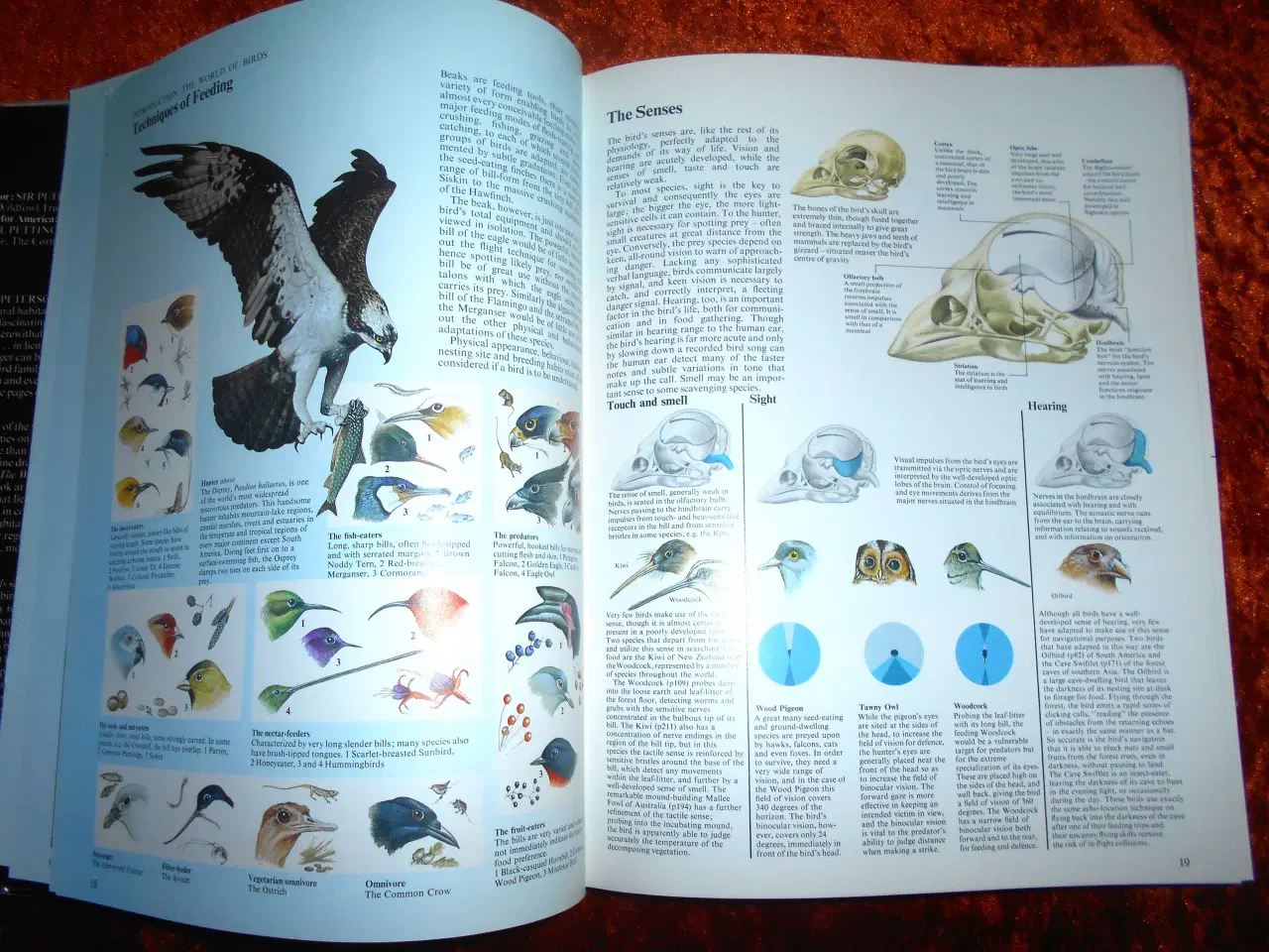 Billede 4 - The world atlas of birds, Peter Scott