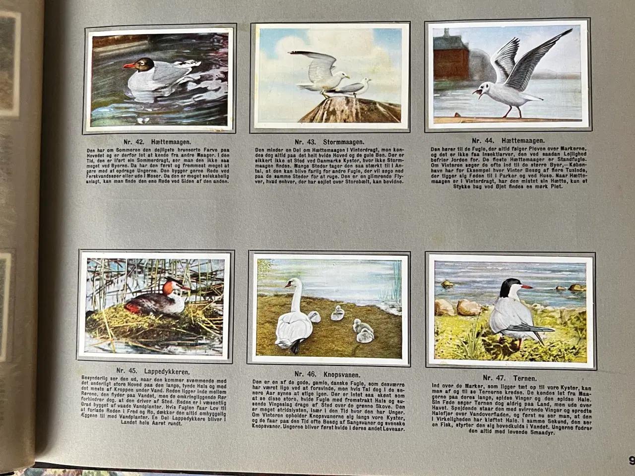 Billede 7 - Richs  Samlealbum 