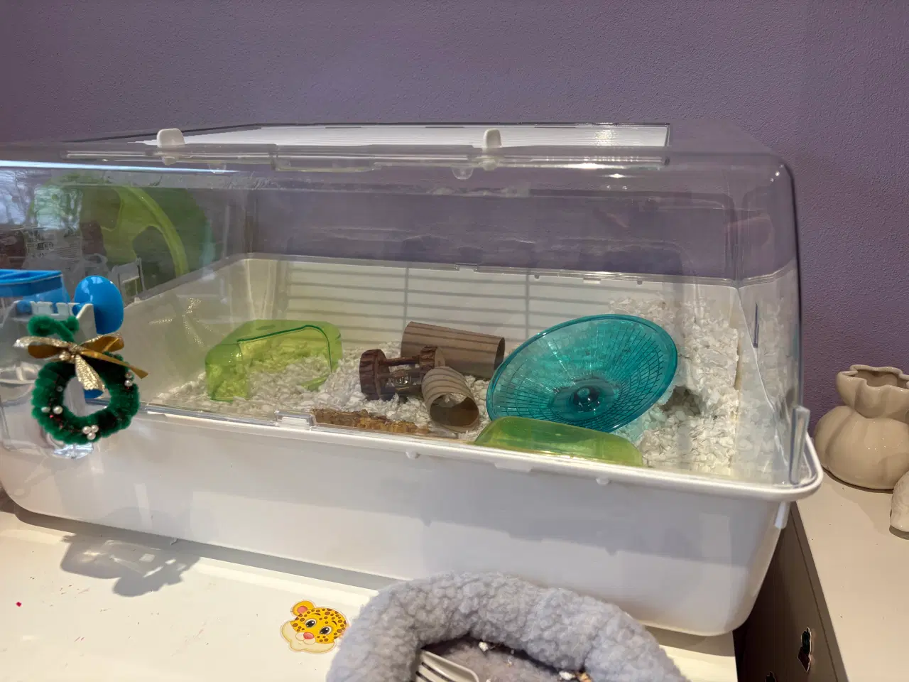 Billede 3 - Dværghamster. Omkring 26 uger