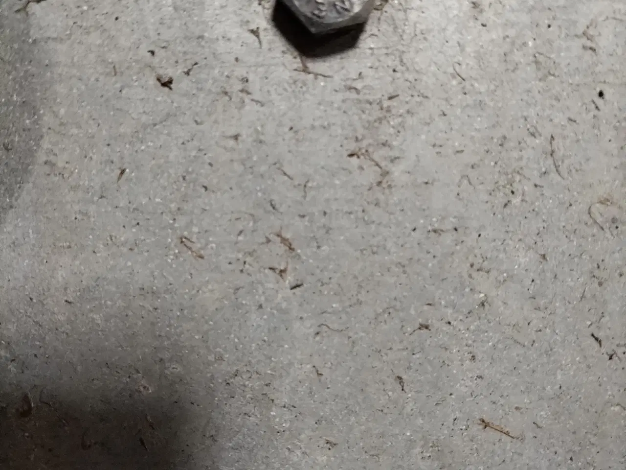 Billede 4 - Neptun boogie trailer 