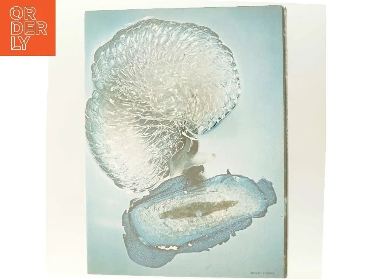 Billede 3 - Livet under vandet - den skjulte verden (Bog)