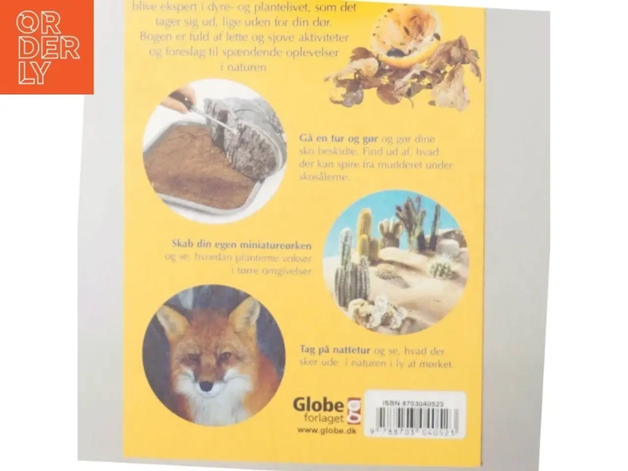 Billede 5 - Naturguide: Naturdetektiv (bog)