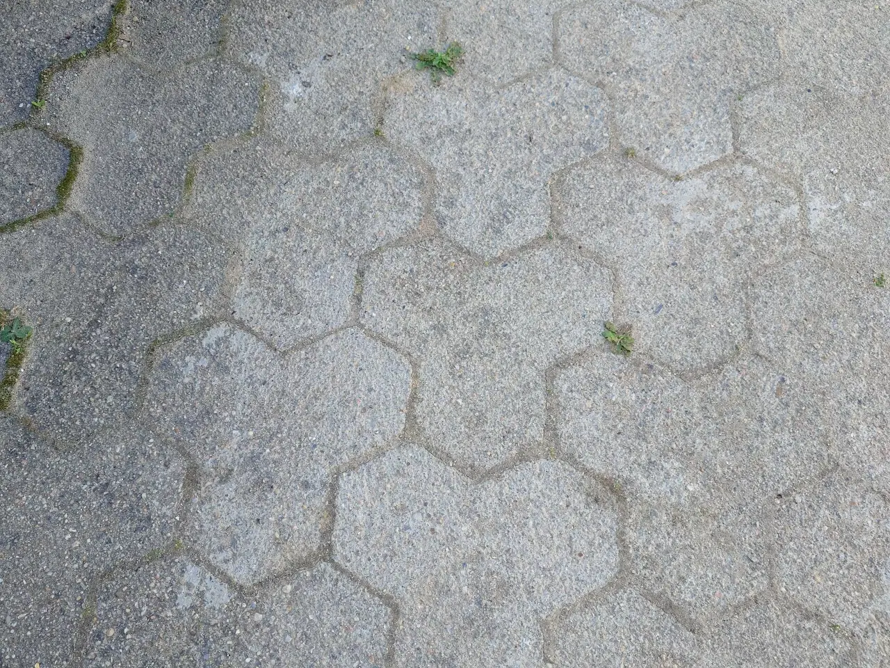 Billede 2 - Kløver sten bortgives 