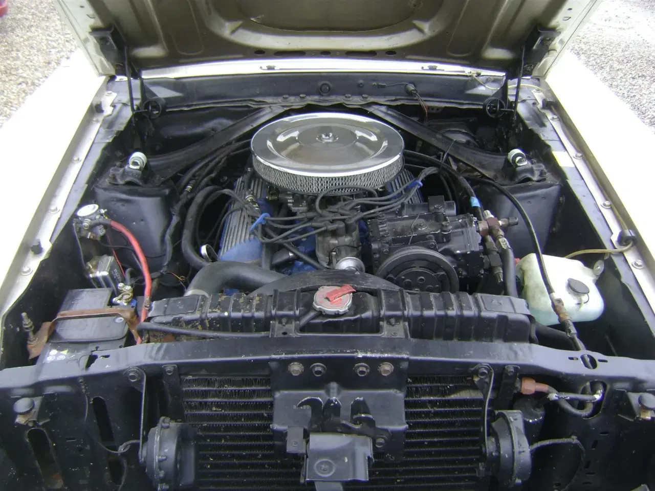 Billede 13 - Ford Mustang 5,0 313HK Cabr. Aut.