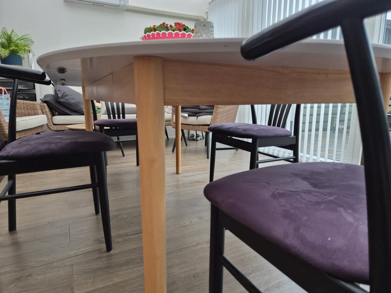 Billede 5 - Marstrand rundt Spisebord