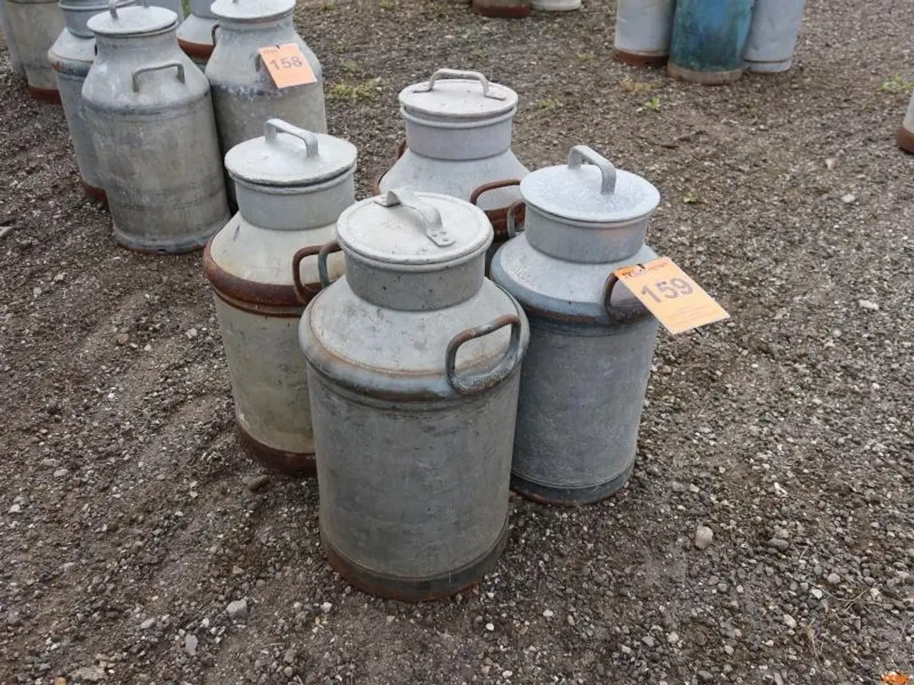 Billede 1 - MÆLKEJUNGER, 4