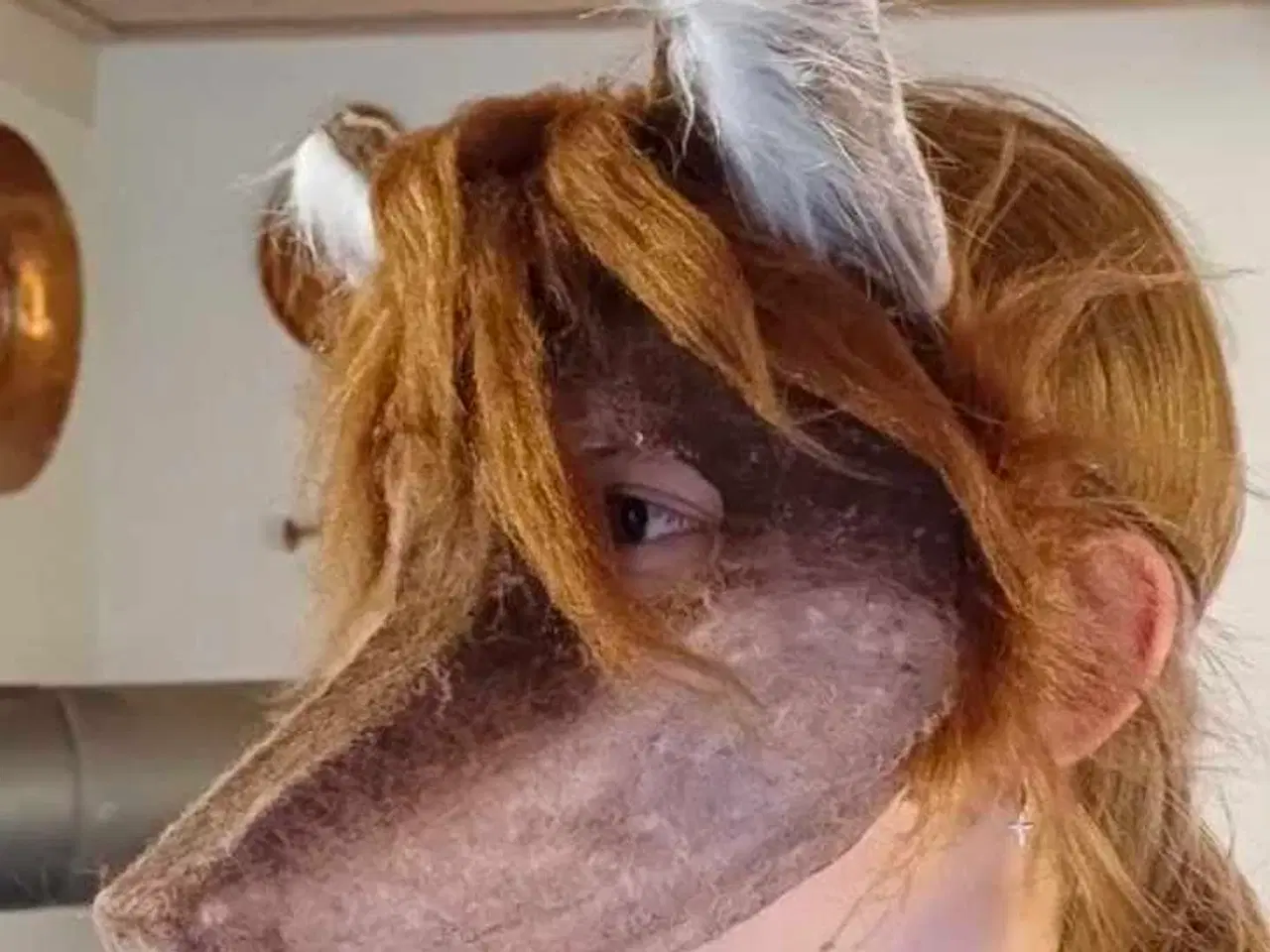 Billede 1 - Therian maske