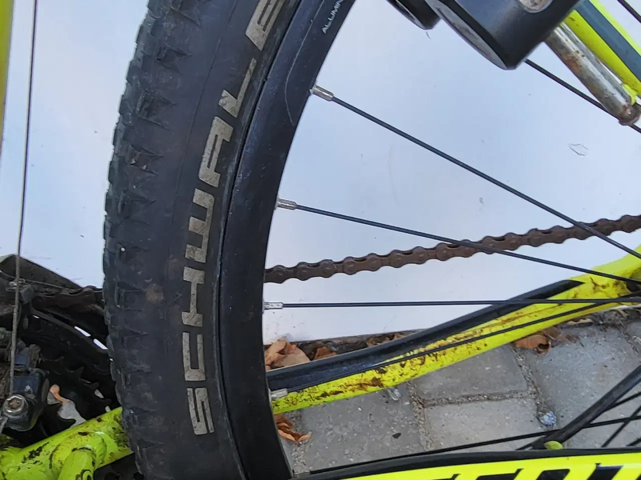 Billede 6 - Hardtail