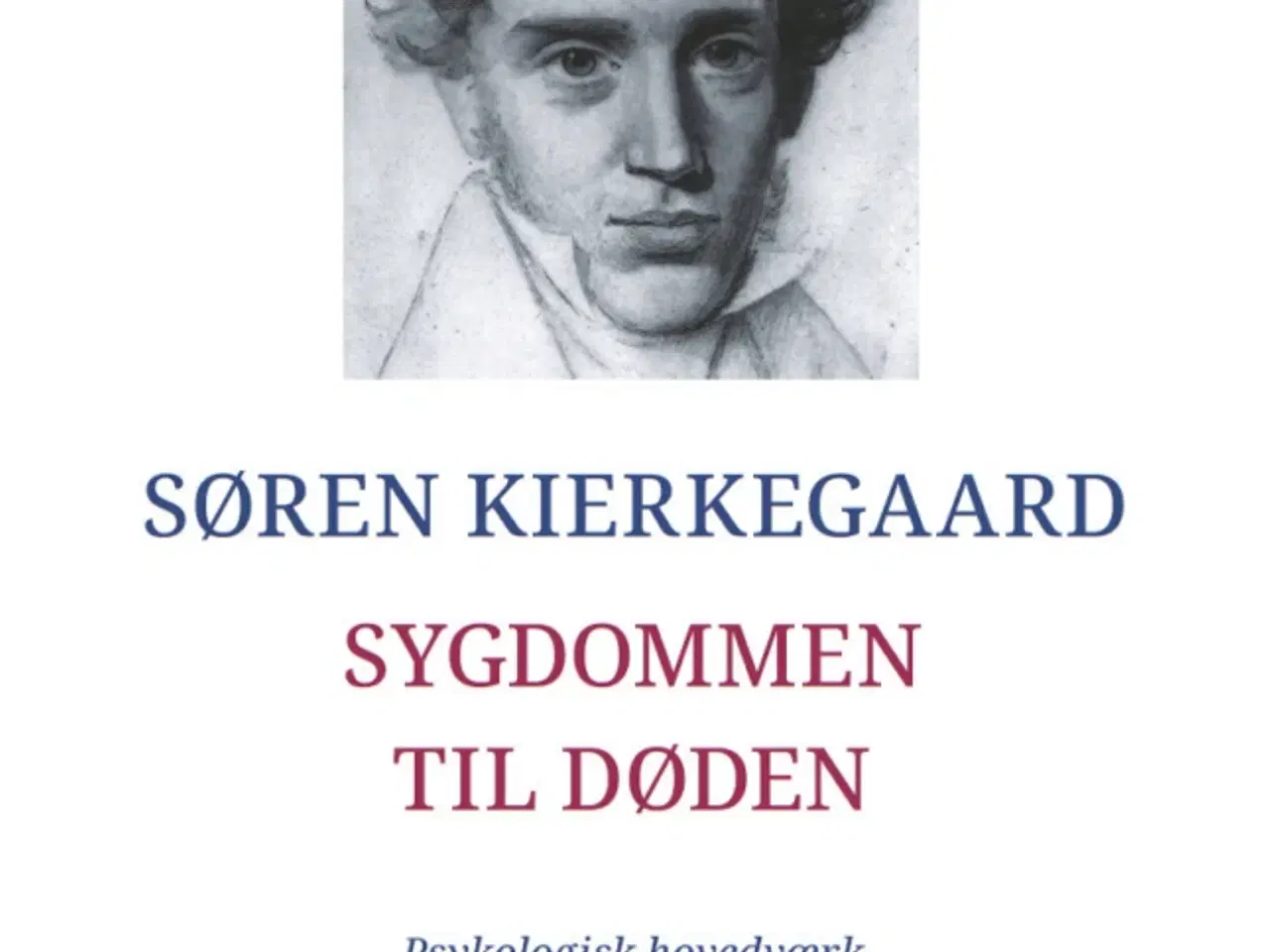 Billede 1 - Sygdommen til døden, Søren Kierkegaard