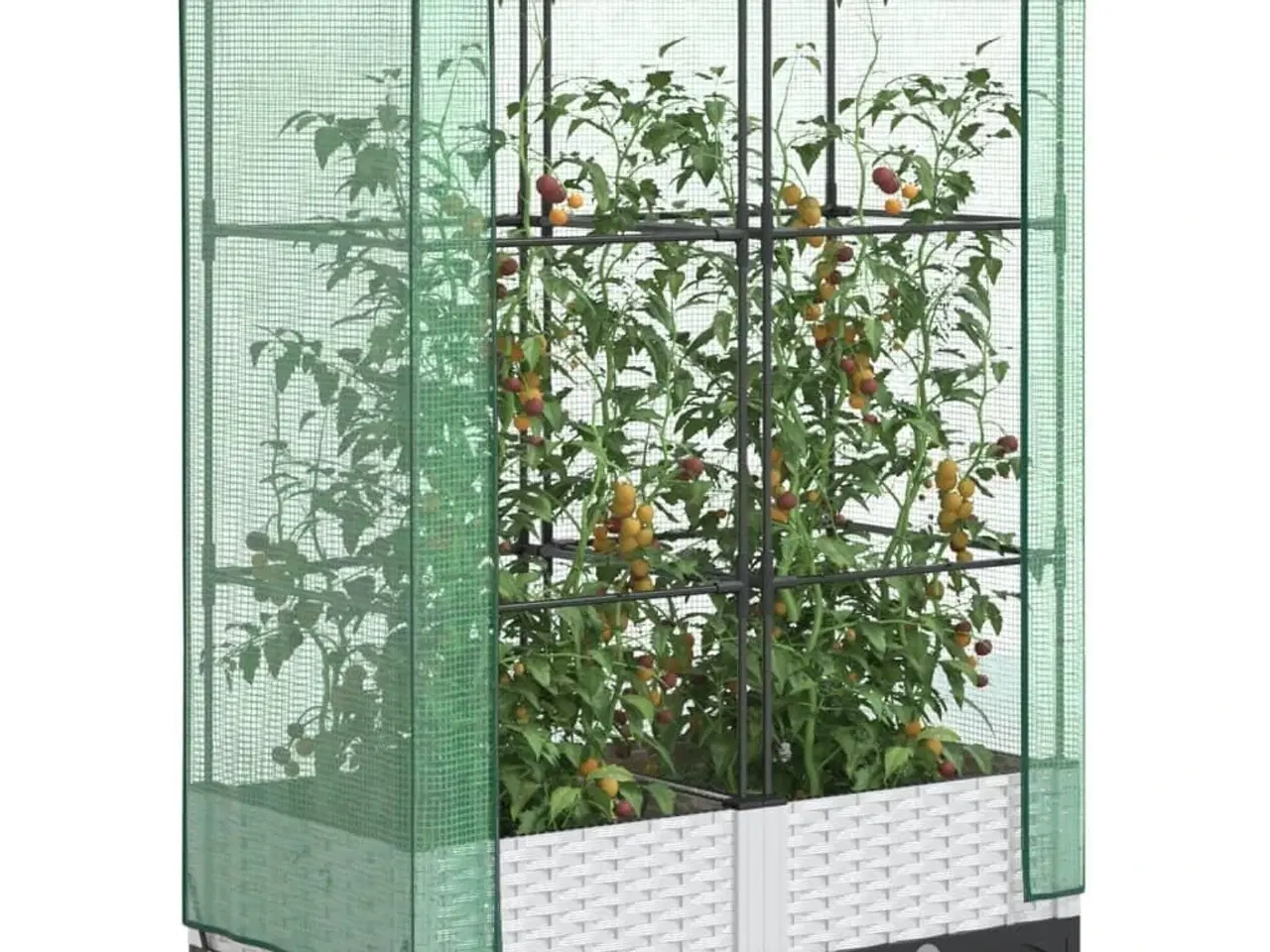 Billede 1 - Højbed med drivhusovertræk 80x40x123 cm rattan-look