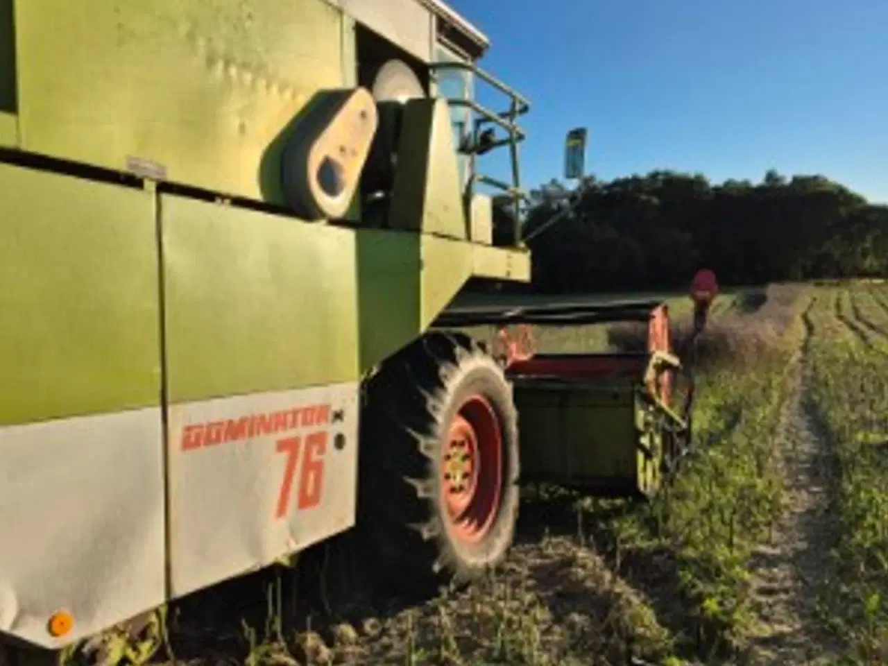 Billede 3 - CLAAS Dominator 76 med snitter og mercedes motor. 13 fods.