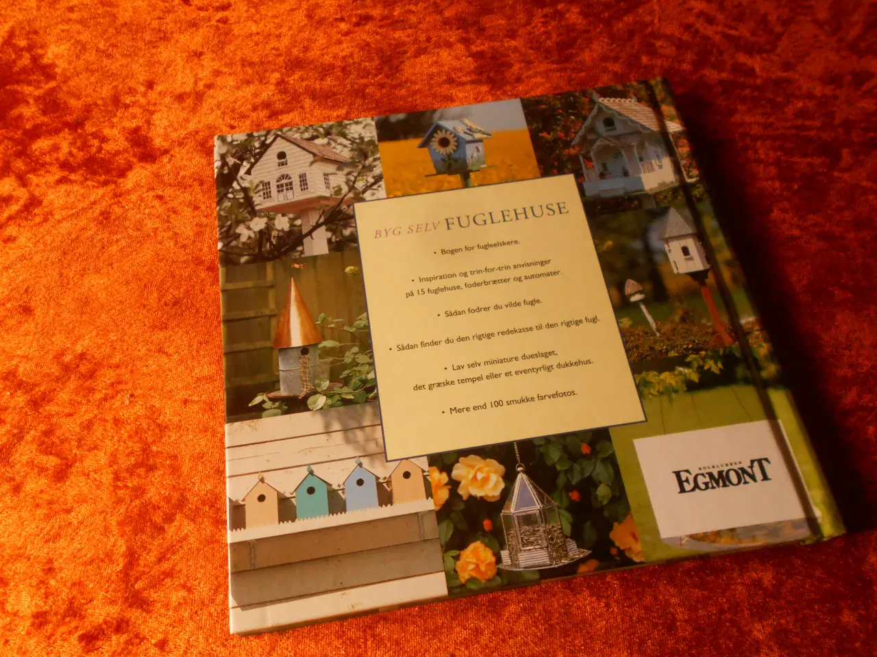 Billede 7 - Byg selv fuglehuse, Andrew Newton-Cox