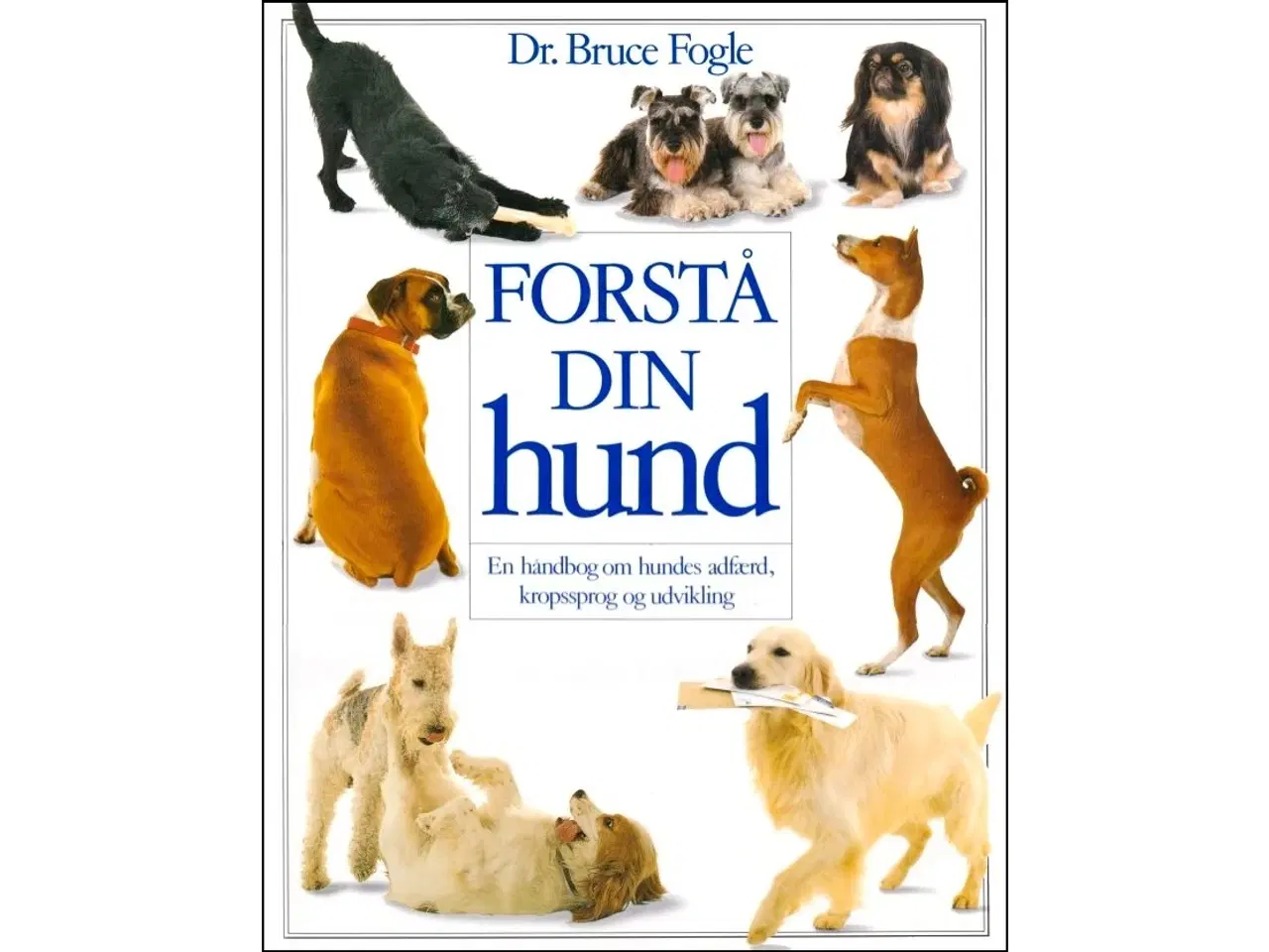 Billede 1 - Forstå din Hund