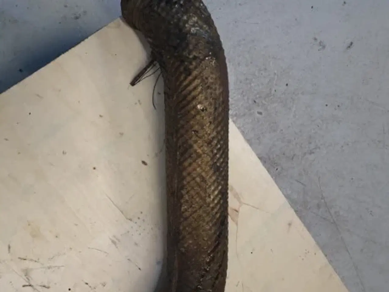 Billede 9 - Valtra T213 Udstødnings Rør ALV0103260