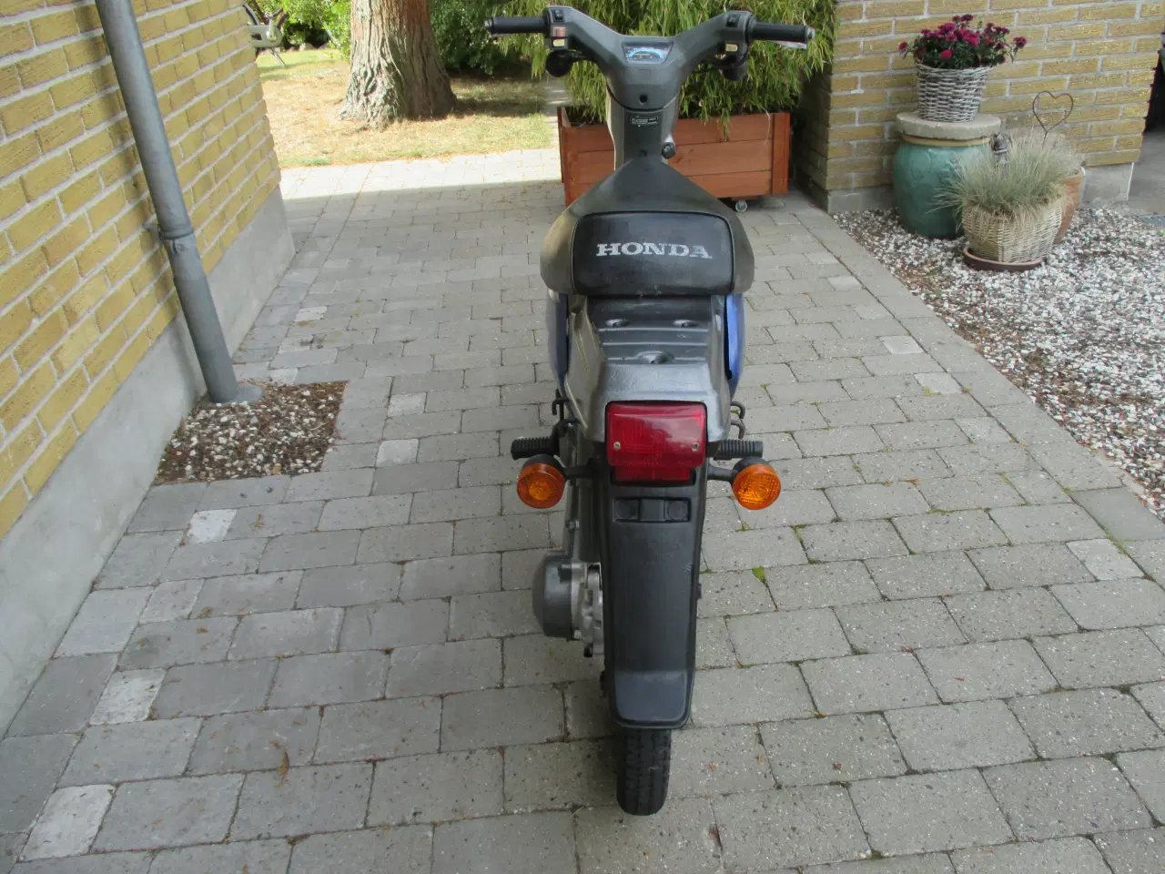 Billede 3 - Honda Wallaro sælges