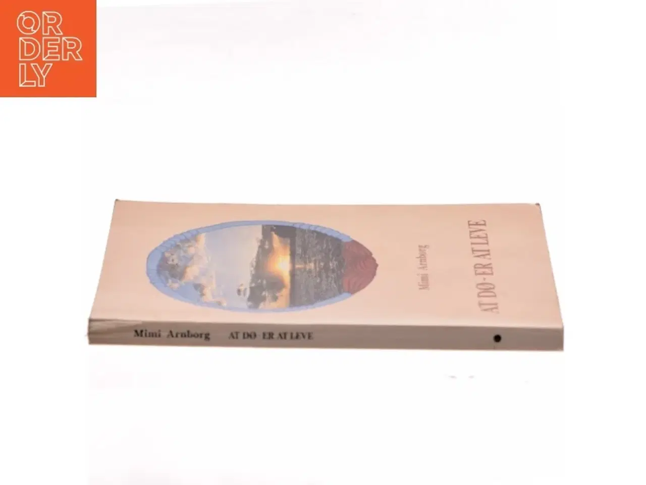 Billede 2 - At dø - er at leve af Mimi Arnborg (Bog)