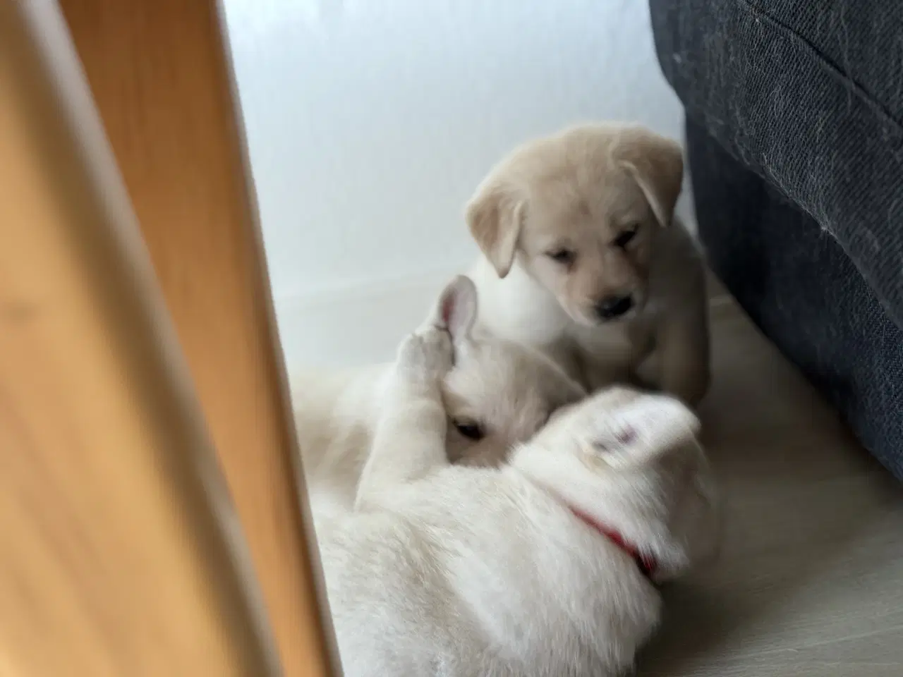 Billede 10 - Blød julegave så se her kan leveres