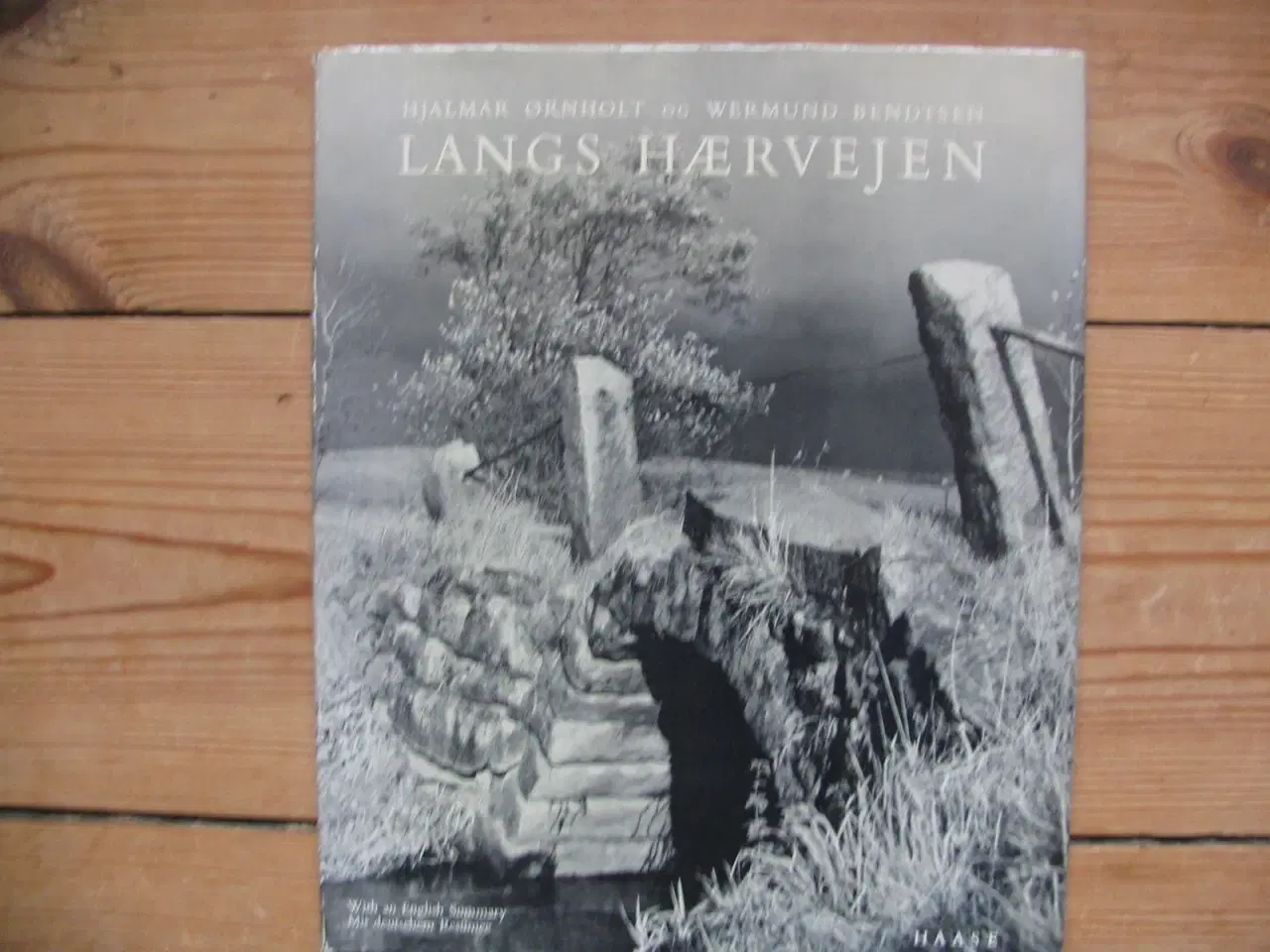 Billede 1 - Langs Hærvejen